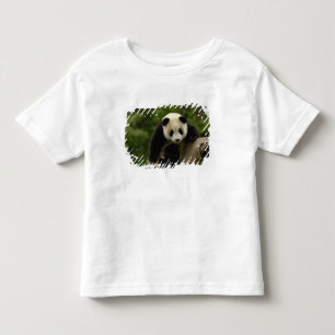 T-shirt bebê de panda gigante