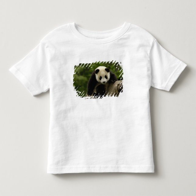 T-shirt bebê de panda gigante (Frente)