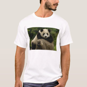 T-shirt Bebê de panda-gigante Ailuropoda melanoleuca)