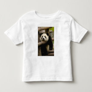 T-shirt bebê de panda gigante (Ailuropoda melanoleuca)