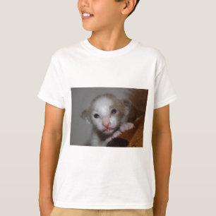 T-shirt Bebé gatinho ridiculamente giro