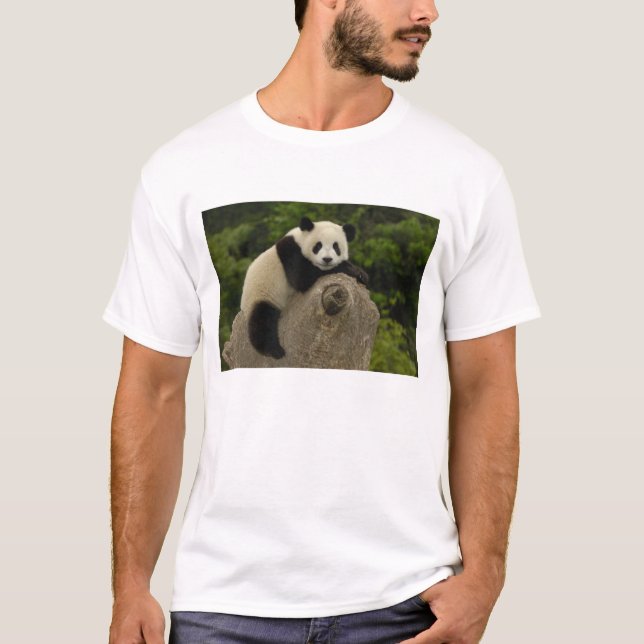 T-shirt Bebê panda gigante (Frente)