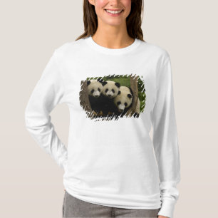 T-shirt bebês de panda gigante (Ailuropoda melanoleuca)