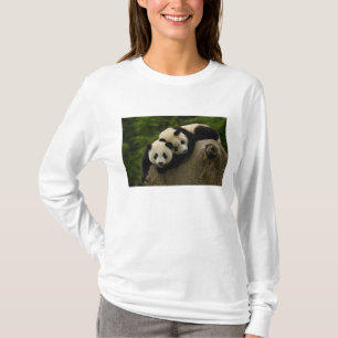 T-shirt bebês de panda gigante (Ailuropoda melanoleuca)