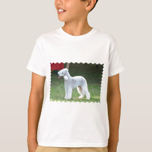 T-shirt Bedlington Terrier bonito