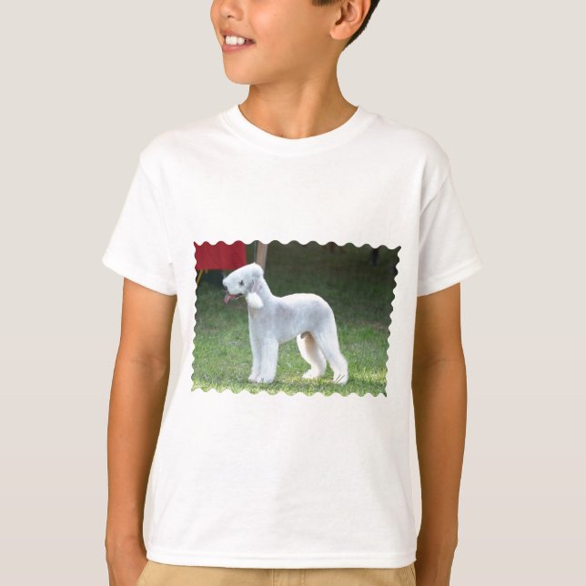 T-shirt Bedlington Terrier bonito (Frente)