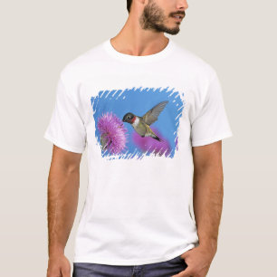T-shirt Beija-flor-de-garganta-rubia
