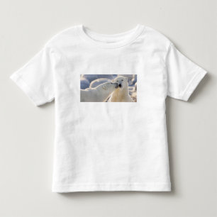 T-shirt Beijo de Urso Polar