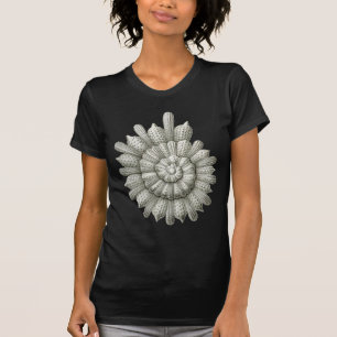 T-shirt Belas artes de Ernst Haeckel do clavigera de