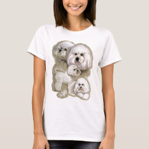 T-shirt Bichon Frise