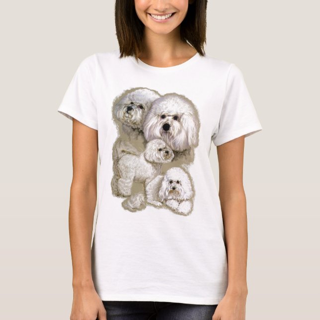T-shirt Bichon Frise (Frente)