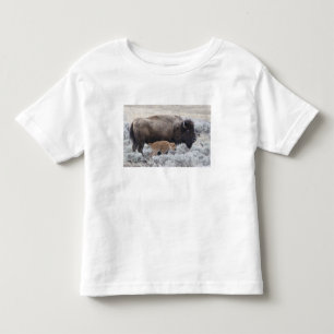 T-shirt Bisão Vaca e Bezerro, Yellowstone
