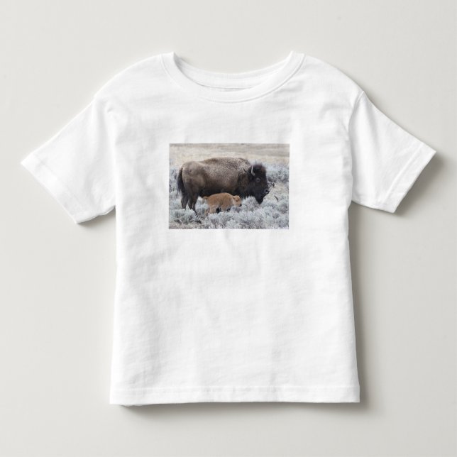 T-shirt Bisão Vaca e Bezerro, Yellowstone (Frente)