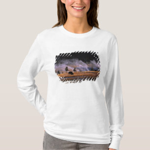 T-shirt Bisões pastando na Bacia de Gêiser Superior