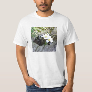 T-shirt Bloodroot, canadensis do Sanguinaria