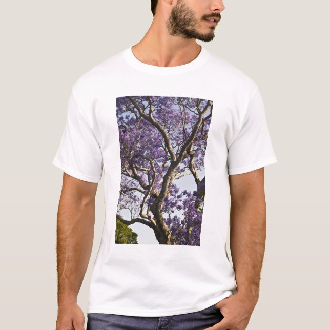T-shirt Blooming em Jacaranda Trees em New Fazenda Park, (Frente)