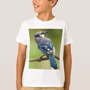 T-shirt Blue Jay pensando em seu amigo pai da família