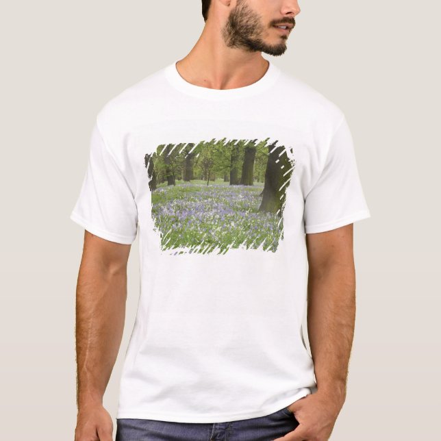 T-shirt Bluebells and Oak Trees in Primavera, Little Hagle (Frente)