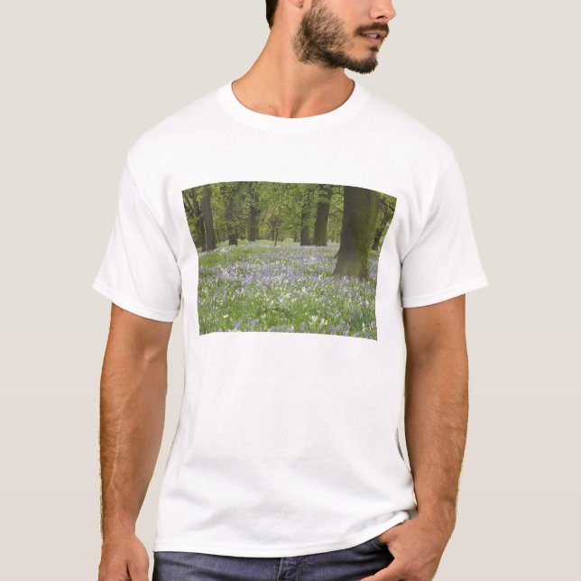 T-shirt Bluebells and Oak Trees in Primavera, Little Hagle (Frente)
