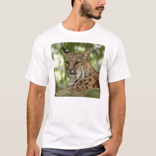 T-shirt BobcatBCR032