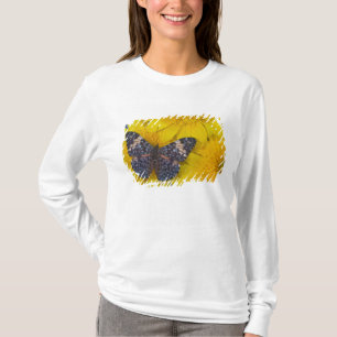 T-shirt Borboleta em Flor Amarelo