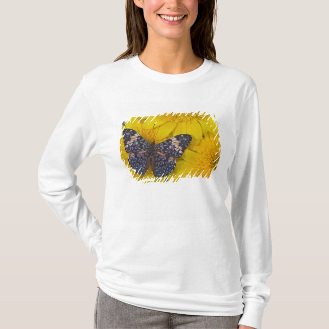 T-shirt Borboleta em uma Flor Amarela (Frente)