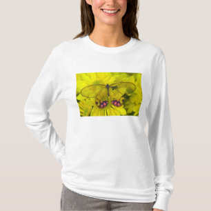 T-shirt Borboleta no Amarelo