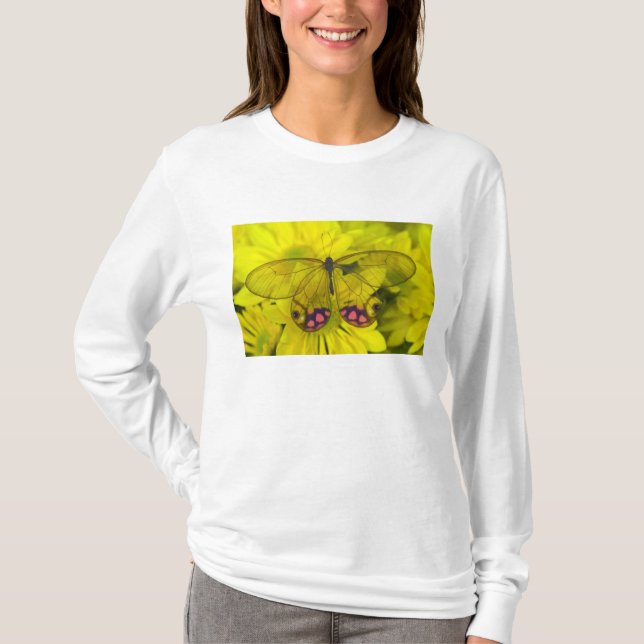 T-shirt Borboleta no Amarelo (Frente)