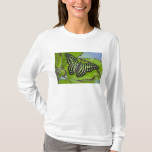 T-shirt Borboleta no Verde