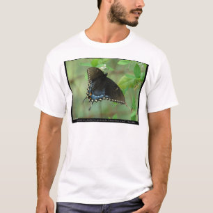 T-shirt Borboleta Preta Swallowtail - Presentes de Amor e
