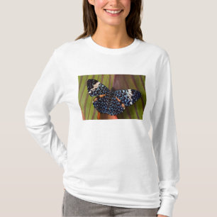T-shirt Borboleta Tropical
