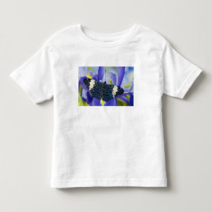 T-shirt Borboleta Tropical Roxa Íris