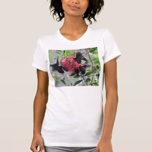 T-shirt Borboletas