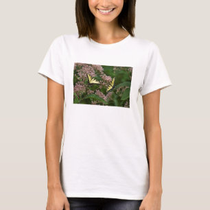 T-shirt Borboletas-do-pântano-Tigre em Joe Pye Weed