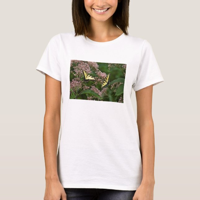 T-shirt Borboletas-do-pântano-Tigre em Joe Pye Weed (Frente)