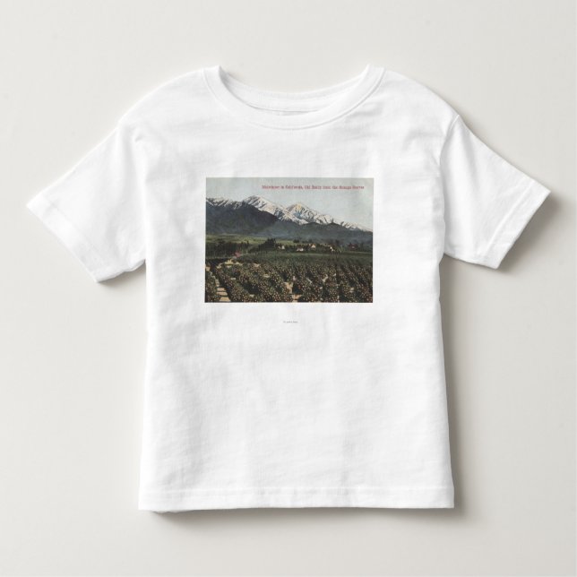 T-shirt Bosques alaranjados com Baldy velho Mt na (Frente)