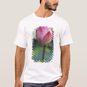 T-shirt Botão de flor de lótus, Hangzhou, Província de Zhe