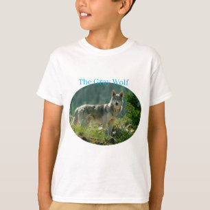 T-Shirt Boys