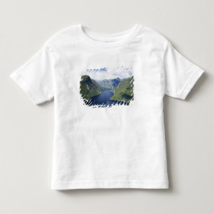 T-shirt Braço Torto, Malaspina Reach, Doubtful Sound,