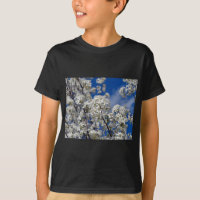 Bradford Pear Blooms