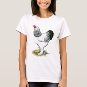T-shirt Brahma: Galo claro