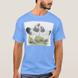 T-shirt Brahma: Luz2