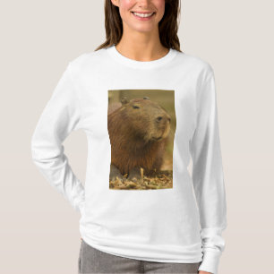 T-shirt Brasil, Pantanal, Matto Grosso. Capybara