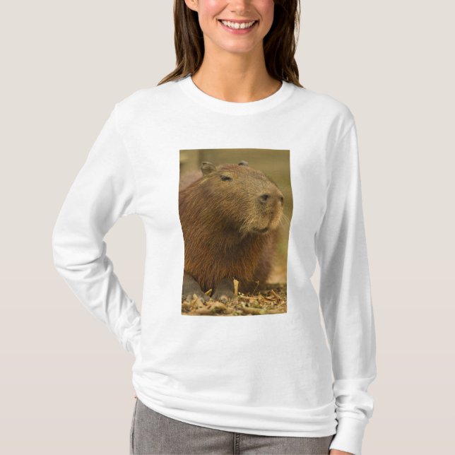T-shirt Brasil, Pantanal, Matto Grosso. Capybara (Frente)