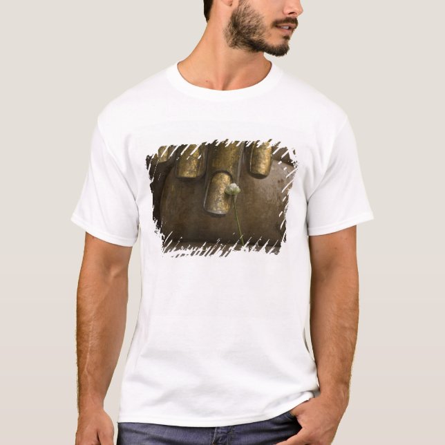T-shirt Buda em Wat Si Chum. (Frente)