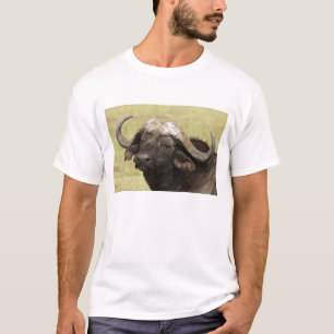 T-shirt Búfalo-africano, Syncerus caffer