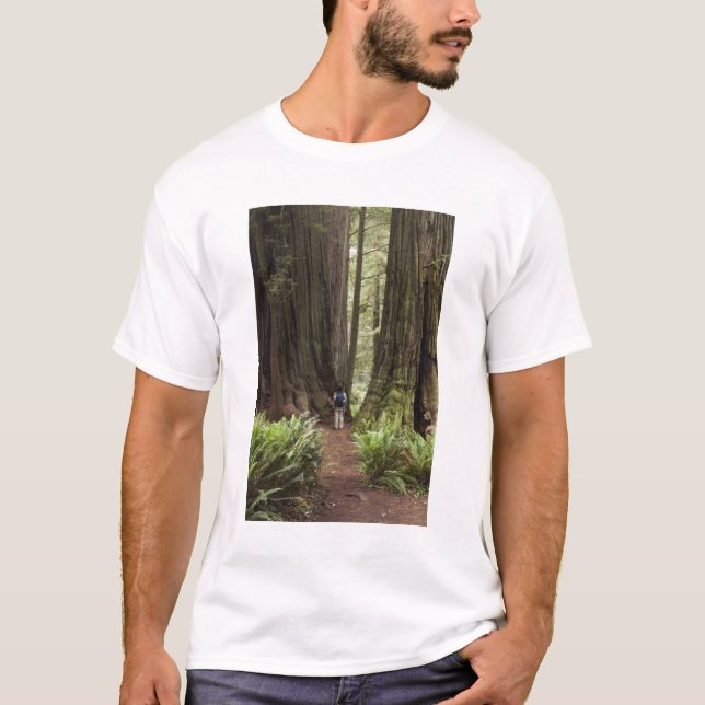 T-shirt CA, Jedediah Smith Redwoods State Park, (Frente)