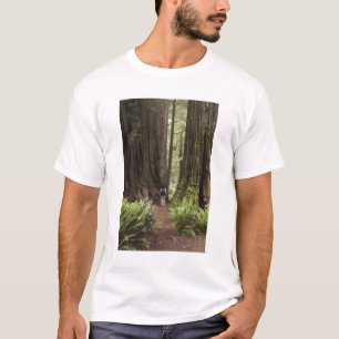 T-shirt CA, Parque Estadual das Florestas de Redwood Jeded