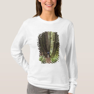T-shirt CA, Parque Estadual de Redwoods Jedediah Smith,