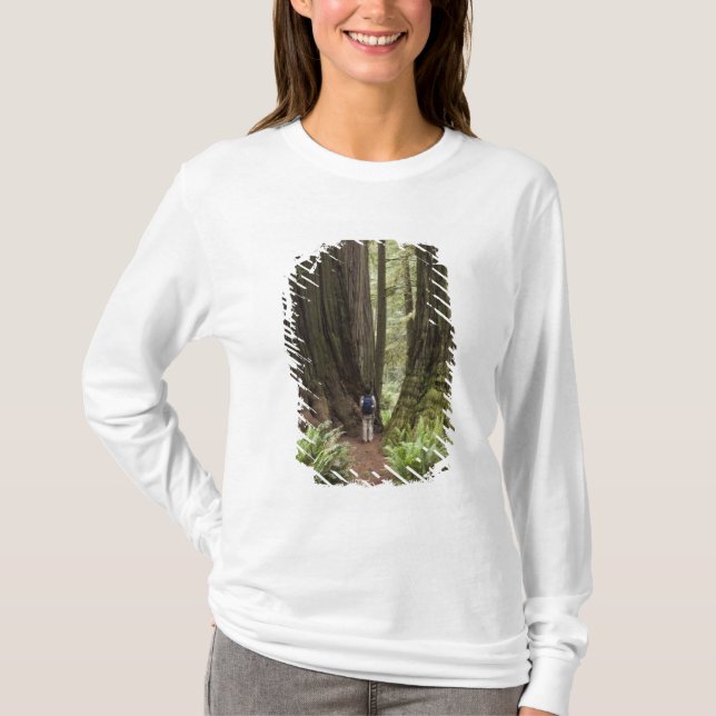 T-shirt CA, Parque Estadual de Redwoods Jedediah Smith, (Frente)